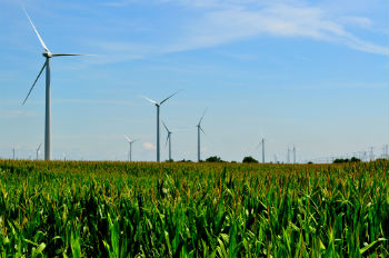 WindFarmCorn